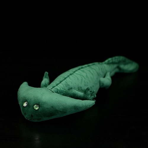 Diplocaulus Soft Stuffed Plush Toy | Default Title