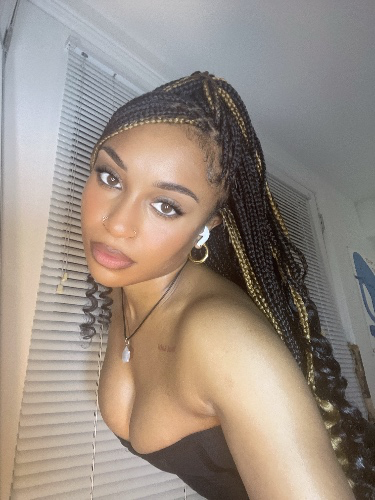 silver status plushie 🩶