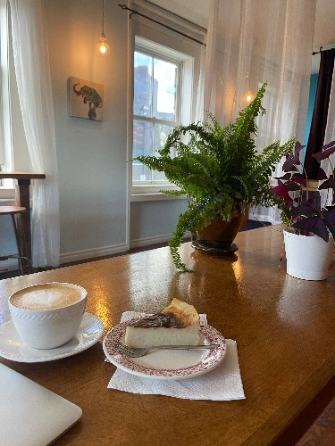 for sweet treat/coffee  