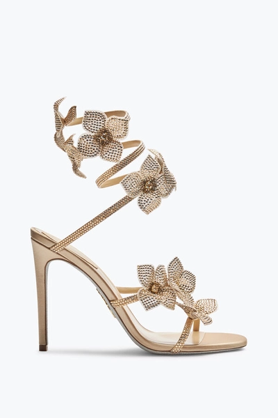 Floriane Honey Sandal 105 | Rene Caovilla