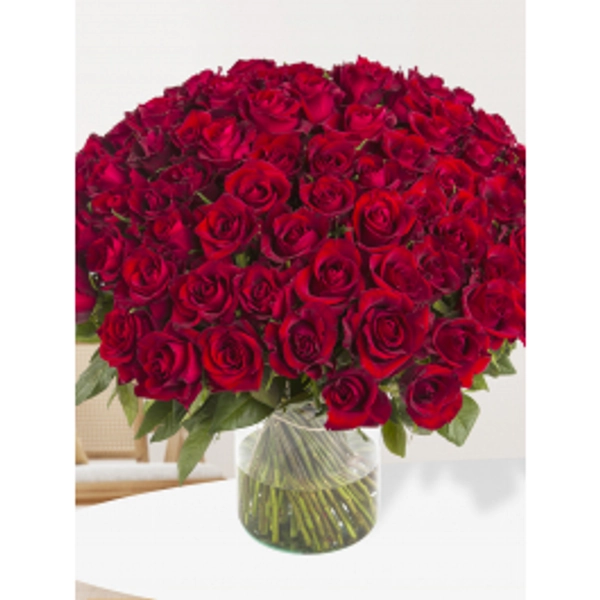 100 rode rozen - EverRed