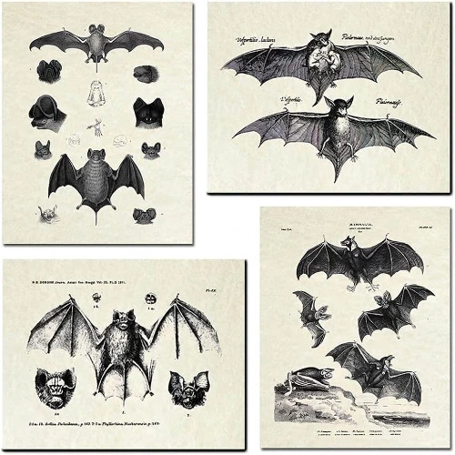 4 Pcs Bats Wall Decor Bats Wall Art Canvas Print,Vintage Retro Hipster Gothic Wall Decor Goth Art Gothic Gifts for Home Living Room Bedroom Office Decoration(Unframed,8x10 inches): Posters & Prints