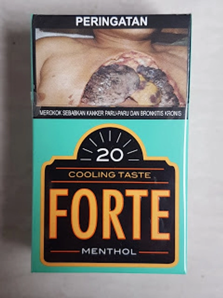 Djarum Forte Menthol - 200 grams - Clove Cigarettes Online, Djarum Black, Cigarettes Online