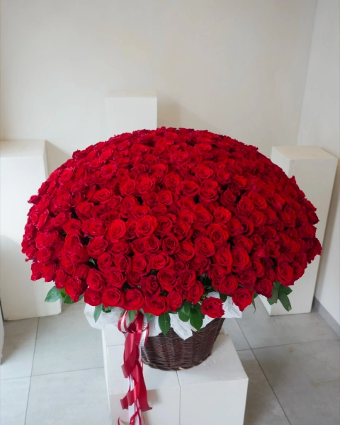 Red roses- bloomflowers.pl