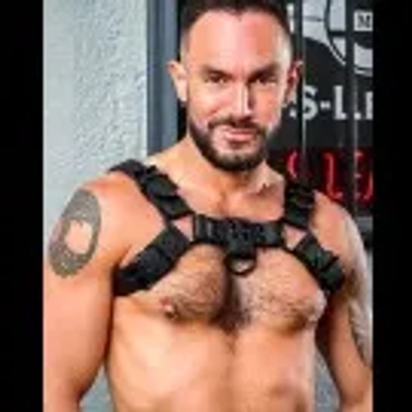 Vegan Bulldog Harness