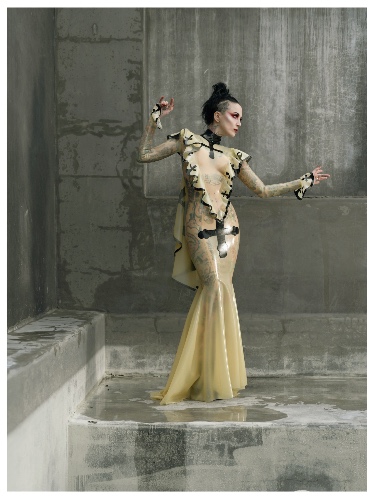 Cathedral gown | Transparent pink / red