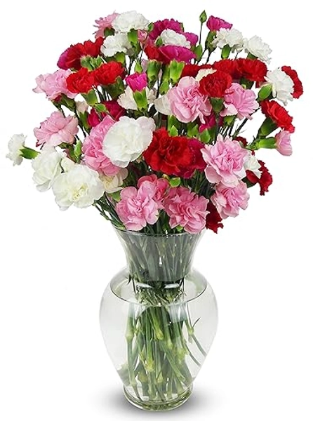Benchmark Bouquets, 20 Stem Rainbow Mini Carnations, Glass Vase Included, Gift Fresh Flowers for Birthday, Anniversary, Get Well, Sympathy, Congratulations, Thank You, Just Because