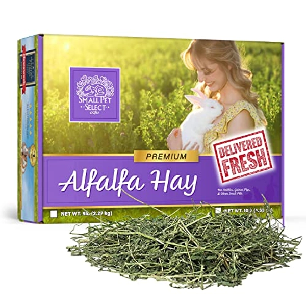 Small Pet Select Alfalfa Hay Pet Food for Young Rabbits, Guinea Pigs , Chinchillas, Tortoises and Other Small Animals, Easy to Store Box, 10 LB