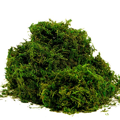 BYHER Fake Moss, Artificial Fresh Green Moss for Wedding Centerpieces Garden Terrariums Decoration (8OZ) - 8oz