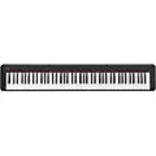 Casio Compact Digital Piano