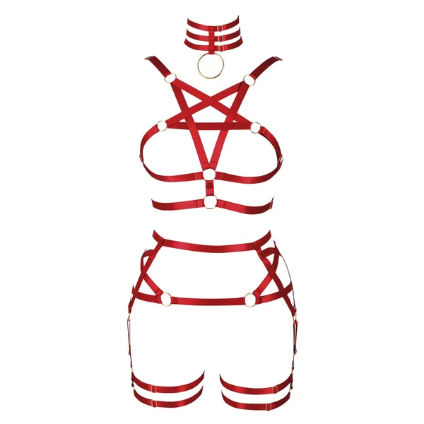 Body Harness