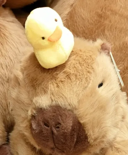 CAPYBARA WITH A DUCK ON ITS HEAD