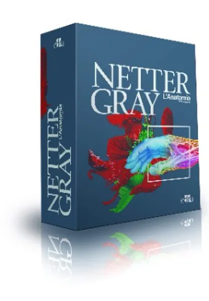 Netter Gray. L'anatomia: Anatomia del Gray-Atlante di anatomia umana di Netter [ 3 volumi indivisibili]