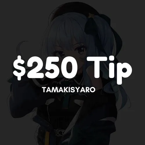 $250 Tip