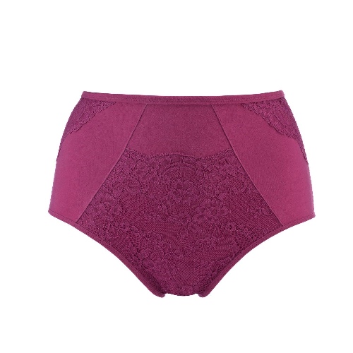 Fuchsia - High Waisted Silk & Organic Cotton Full Brief - 8