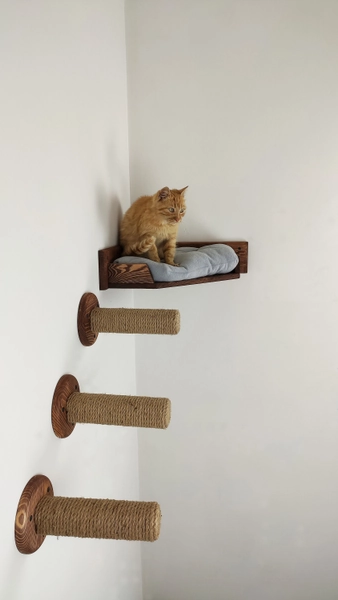 Wall mounted cat bed with steps