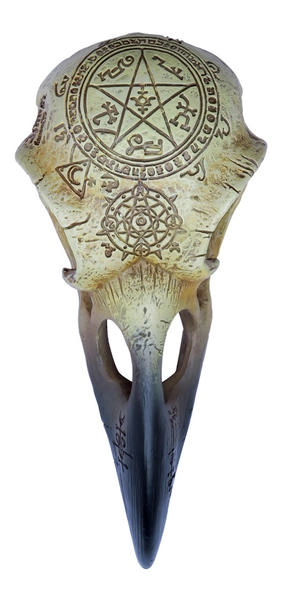 Omega Raven Skull