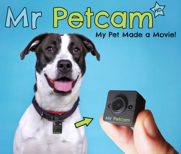 Mr Petcam HD Collar Mounted POV Camera