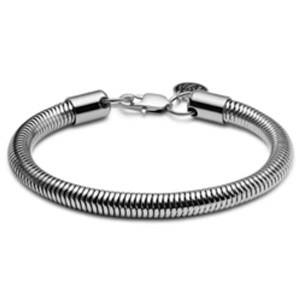  Silver-Tone Snake Chain Bracelet