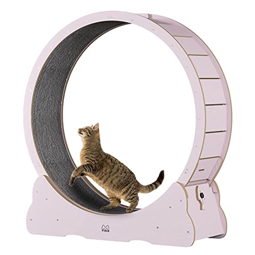Pink Cat Running Wheel, Hamster-Wheel Style Cat Exercise Wheel, Durable Cat Ferris Wheel Treadmill with Safe Locking Device, Smooth Run Freely (Size : 90cm/35.4") - 90cm/35.4"