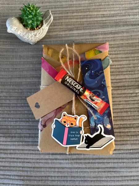 Blind Date With a Book: Gift for Book Lovers and Family Friends. Preloved Book Mixed Genres. With Cute Accessories. Get Cosy. - Etsy UK