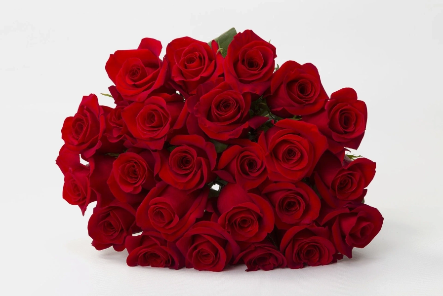 Red Rose Bouquet by BloomsyBox