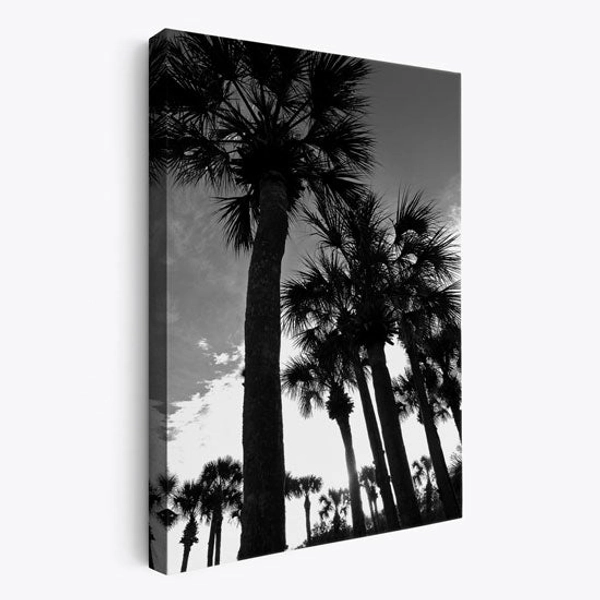 Sunset Oasis - Modern Tropical Wall Art Black and White