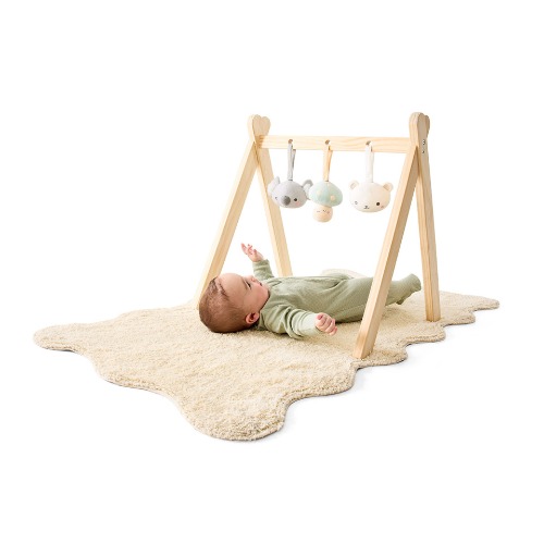 Gym Toy Accessories - Kmart 