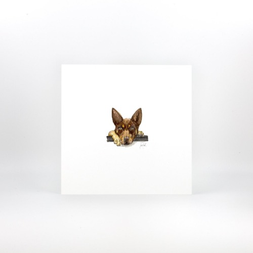 Brown Kelpie | Unframed