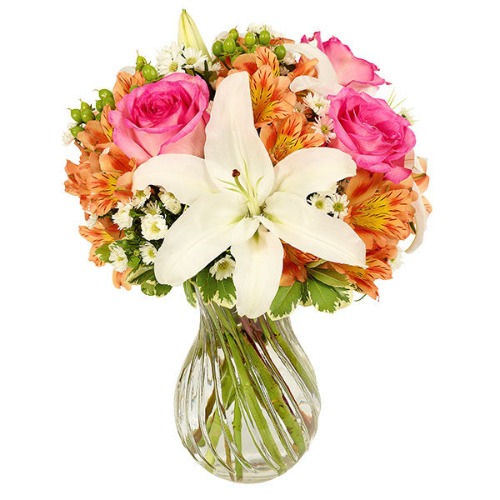 Bold and Beauty Bouquet - Bold and Beauty Bouquet / BF623-11KL
