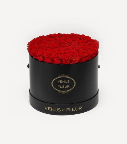 Venus et Fleur roses