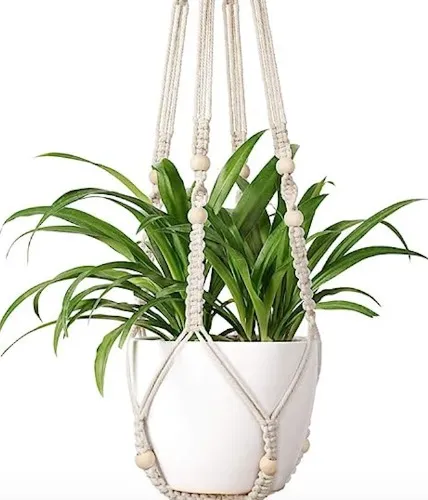 Plant Hanger Indoor - Ivory