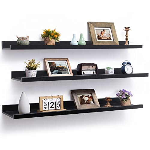 48 Inch Picture Shelf for Wall