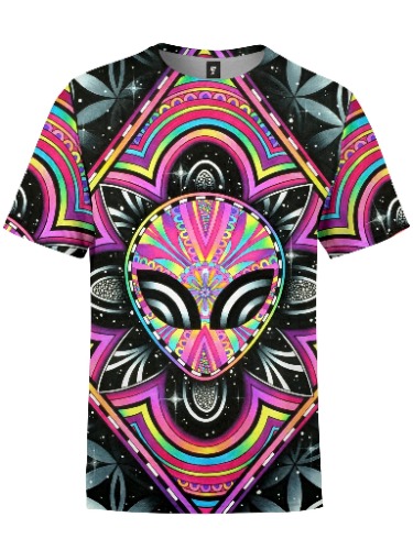 Brizscension Unisex Crew | L / Regular