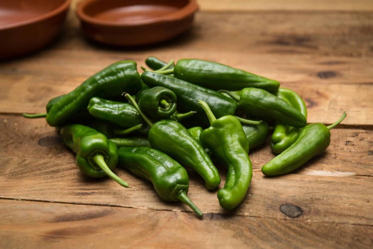 Pimientos de Padron - Westlandpeppers