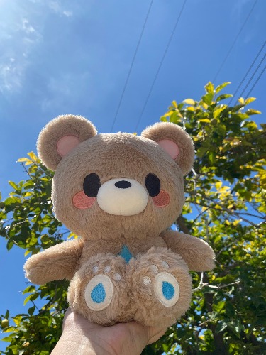 Boone Bear Plushie Toy | Default Title