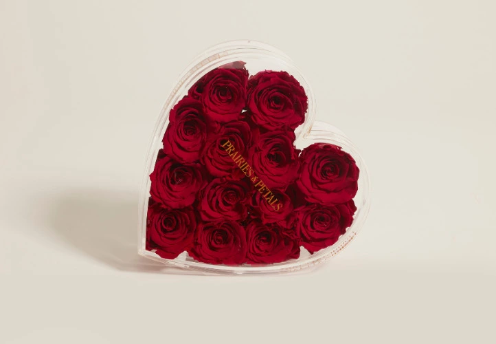 Prairies & Petals 🌹 Clara Kardia