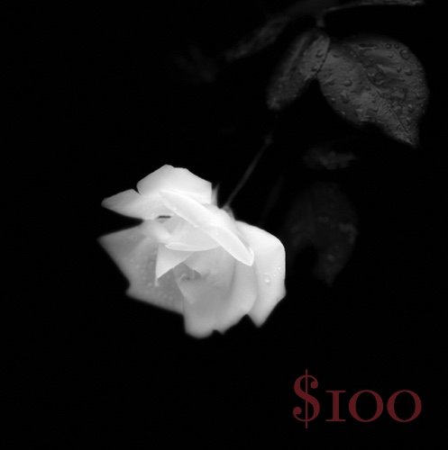 Mini Shopping Spree🖤