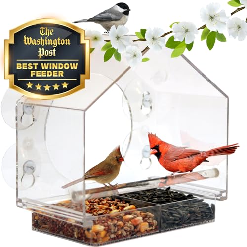 Nature Anywhere Transparent Acrylic Window Bird Feeder - Enhanced Suction Grip, Bird Watching for Cats, Easy-to-Clean, Outdoor Birdhouse - Perfect for Garden, Yard, & Elderly Viewing - 1 - Polycarbonate
