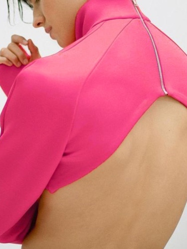 Mens High Neck Back Zipper Cropped Top SKUI12966 | Pink / S