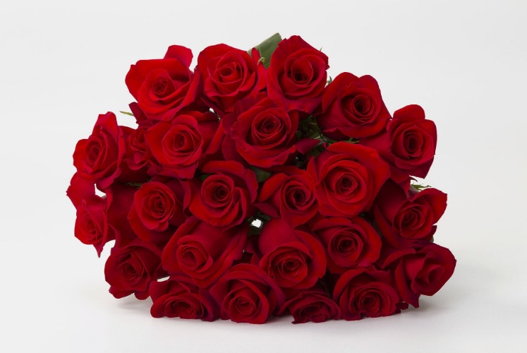 Red Rose Bouquet by BloomsyBox - Two Dozen