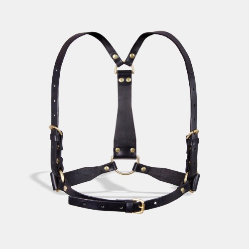 D-RING HARNESS | Black / Gold Plated / XS