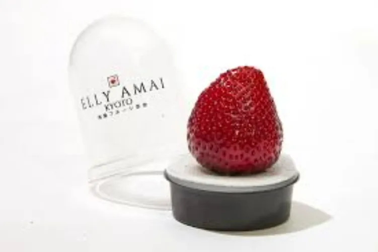 Kyoto strawberry