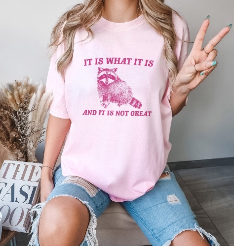 It Is What It Is And It Is Not Great Shirt