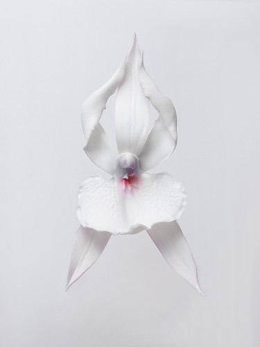 ballerina orchid earrings
