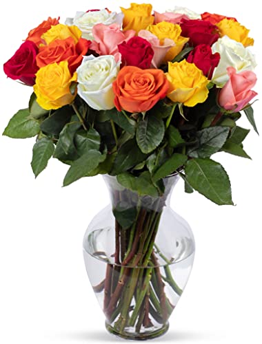 Benchmark Bouquets 24 stem Rainbow Roses, Next Day Prime Delivery, Fresh Cut Flowers, Gift for Anniversary, Birthday, Congratulations, Get Well, Home Decor, Sympathy, Easter, Mother's Day - Rainbow