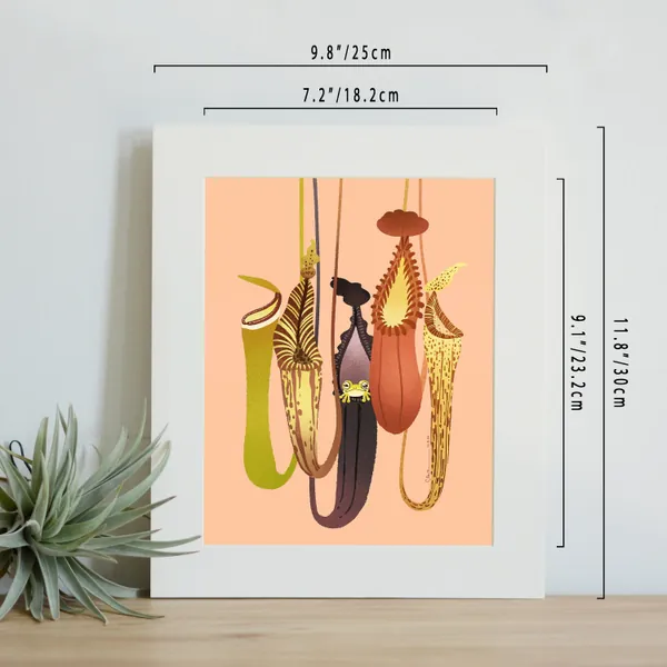 Nepenthes print