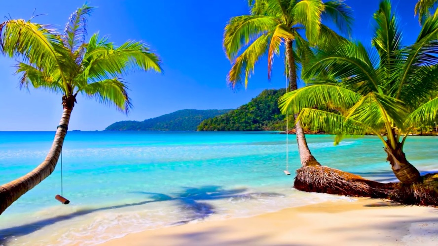 Sponsor my sun trip