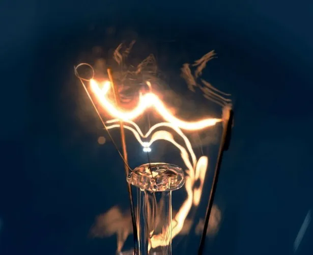 ($80) Electricity Bill