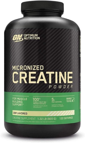 Optimum Nutrition Micronized Creatine Monohydrate Powder, Unflavored, Keto Friendly, 120 Servings (Packaging May Vary) - 120 Servings (Pack of 1) Powder